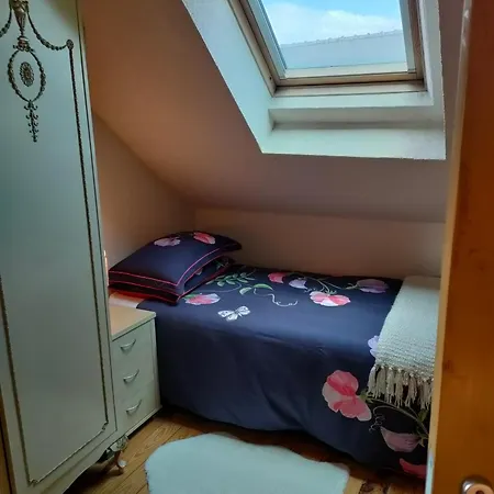 Les Bardinieres For Zoo Fleche