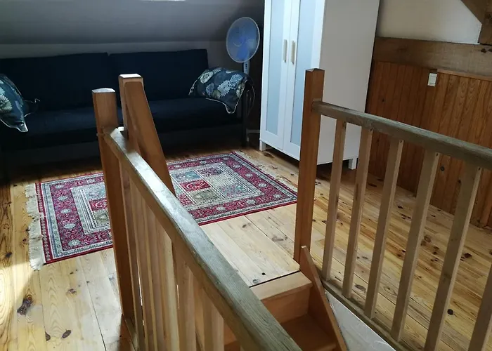 Les Bardinieres For Zoo Fleche Savigné-sous-le-Lude