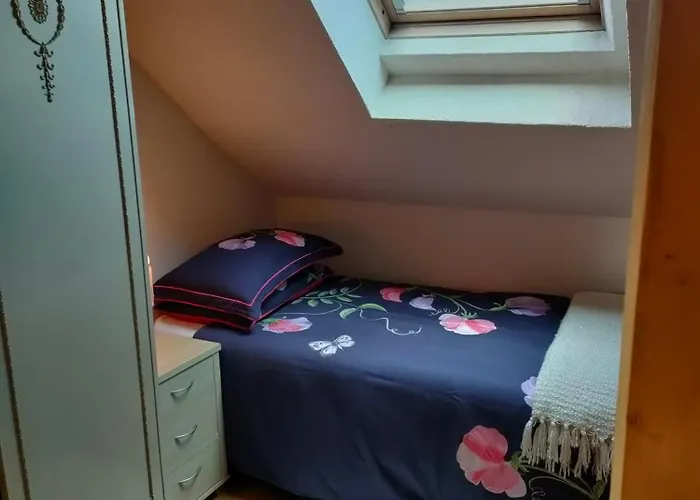 Les Bardinieres For Zoo Fleche